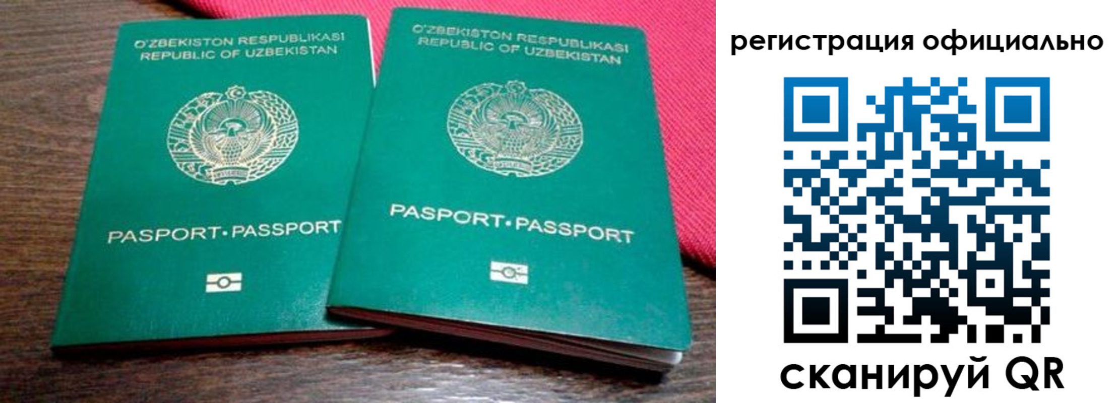 прописка регистрация в Почепе